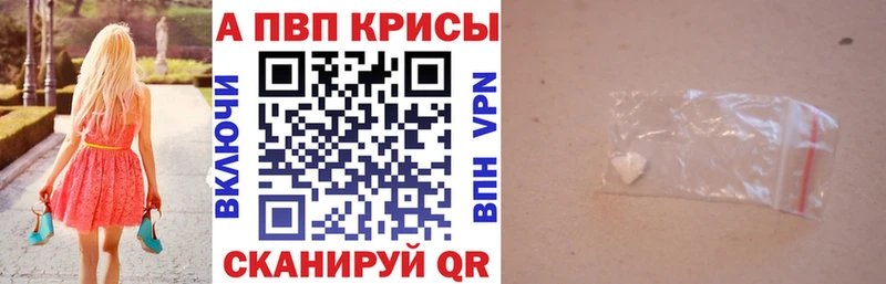 что такое   кракен сайт  A PVP СК  Южа 