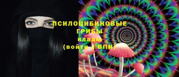 2c-b Пересвет