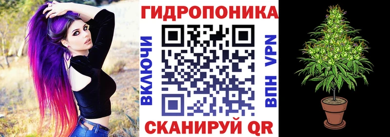 наркотики  Южа  Шишки марихуана план 